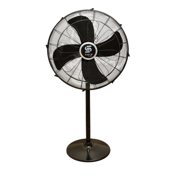 Unimax American Fancy